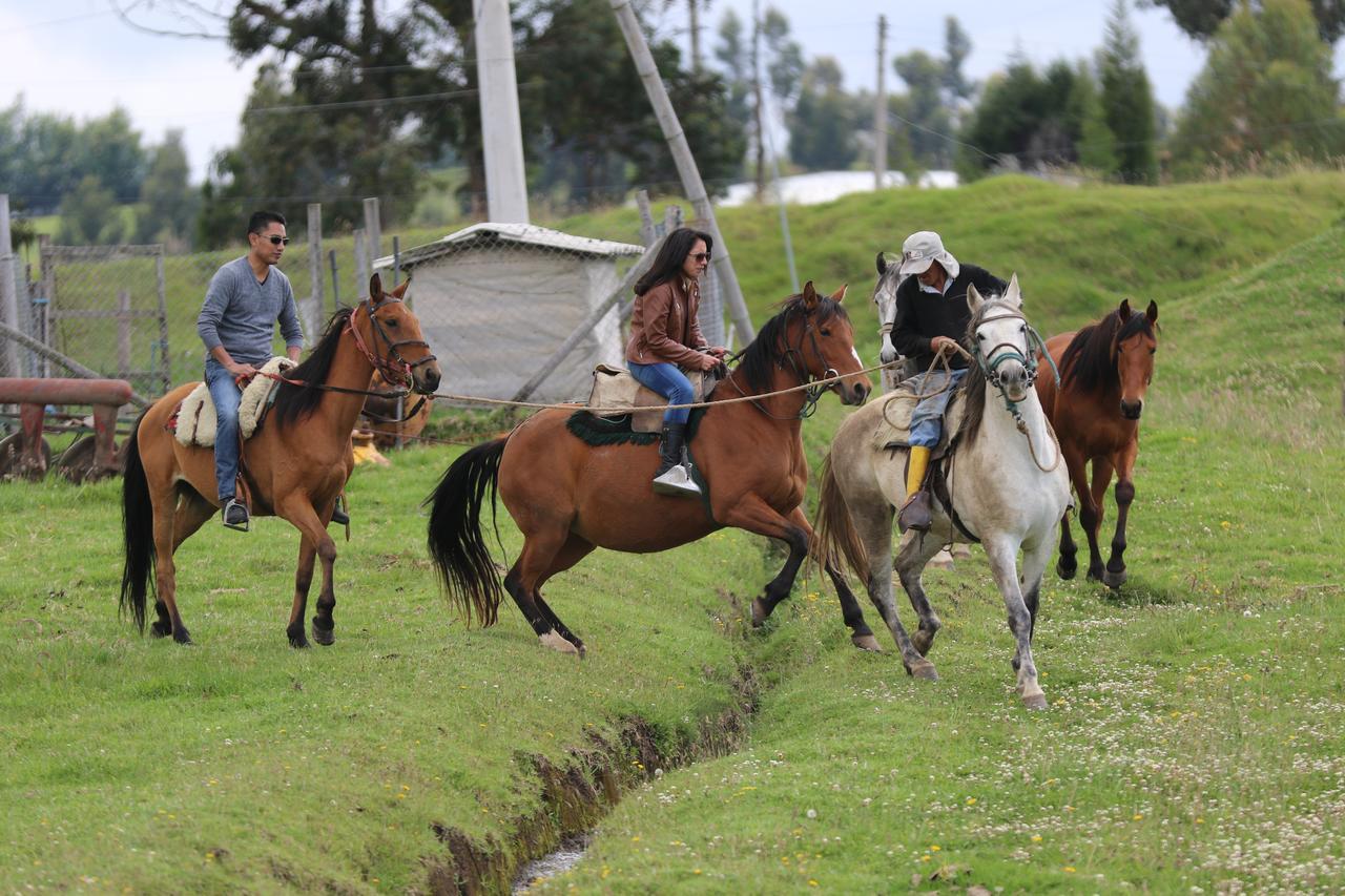 Hosteria Loma Larga Cayambe Bagian luar foto